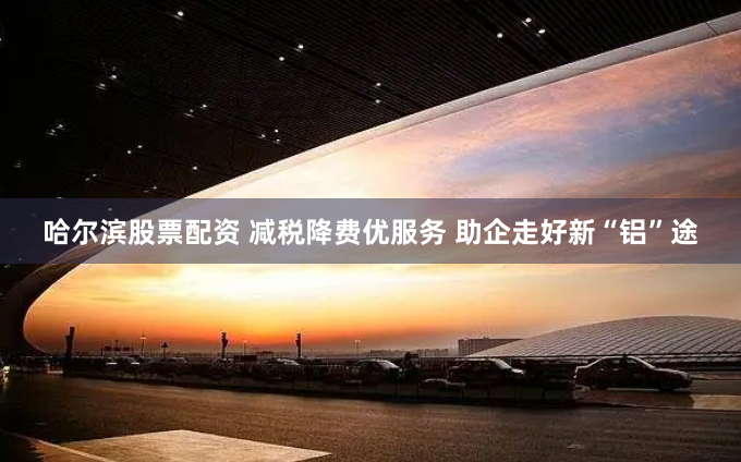 哈尔滨股票配资 减税降费优服务 助企走好新“铝”途