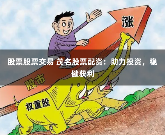 股票股票交易 茂名股票配资：助力投资，稳健获利
