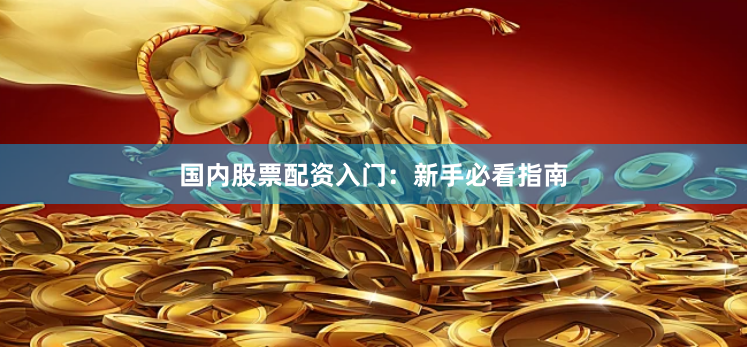 国内股票配资入门：新手必看指南