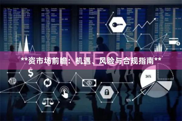 **资市场前瞻:机遇、风险与合规指南**