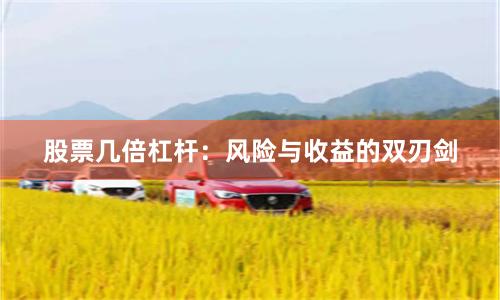 股票几倍杠杆：风险与收益的双刃剑